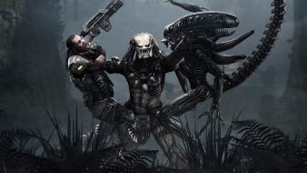 Aliens Vs Predator Game wallpaper