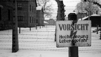 Auschwitz world war ii concentration camp prison signs wallpaper