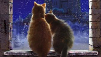Cats love snow winter wallpaper