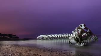 Dinosaurs landscapes nature sea shorelines skeletons wallpaper