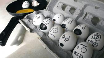 Eggs funny wallpaper