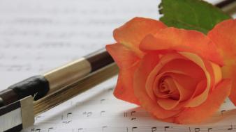 Flowers musical notes pens roses wallpaper