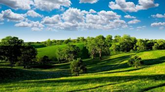 Green clouds trees hills summer shadows meadows sky wallpaper