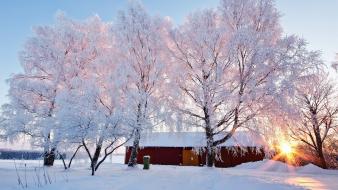 House landscapes nature snowy trees sunlight wallpaper