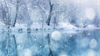 Pc nature snow winter