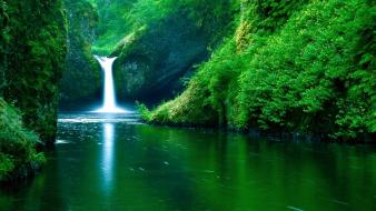 Waterfall forest background wallpaper