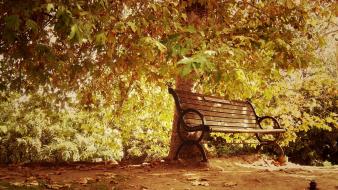 Autumn bench landscapes nature park wallpaper