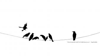 Black and white crows minimalistic power lines quotes wallpaper