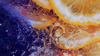 Bubbles fruits macro oranges wallpaper