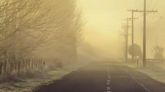 Dawn fog landscapes roads wallpaper