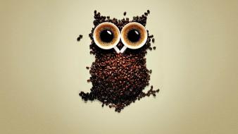 Funny coffee owl wallpaper