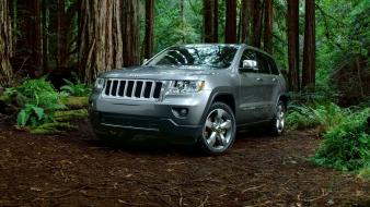 Grand cherokee jeep trees