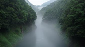 Japan fog forests landscapes trees wallpaper