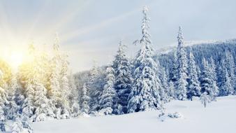 Landscapes mountains nature snow snowy trees wallpaper