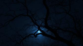 Moon wrocław dark night trees wallpaper