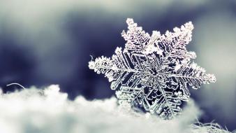 Snowflake macro