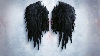 Black angel wings wallpaper