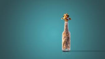 Bottled funny animals giraffes minimalistic wallpaper