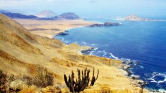 Chile national park beaches cactus coast wallpaper
