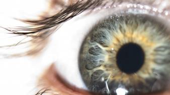 Close-up eyes pupil wallpaper