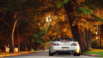 Jdm japanese domestic market autumn cars roads