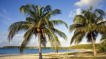 Puerto rico beaches coconut red