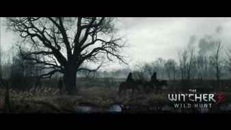 The witcher 3: wild hunt geralt wallpaper