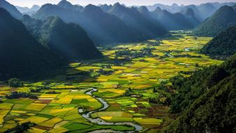 Viet nam agriculture fields forests green wallpaper