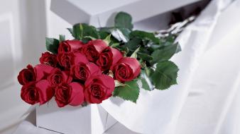 Boxes flowers red roses wallpaper