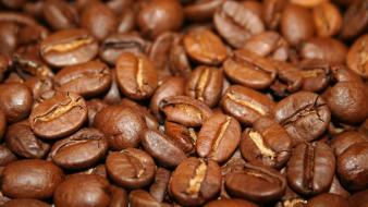 Coffee beans macro wallpaper