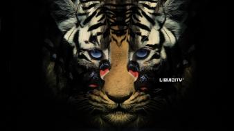 Drum and bass liquicity tigers wallpaper