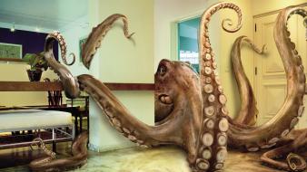 Funny giant octopus attack wallpaper