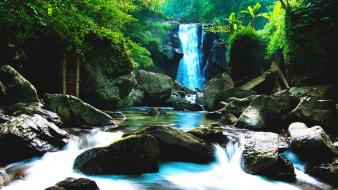 Green forest waterfall wallpaper