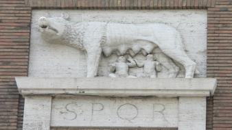 Italia italy roma rome romulus and remus wallpaper
