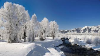 River on winter forest wallpaper