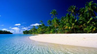 Tropical beach images