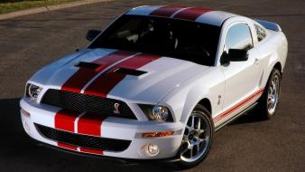Ford mustang shelby gt500 green muscle cars wallpaper