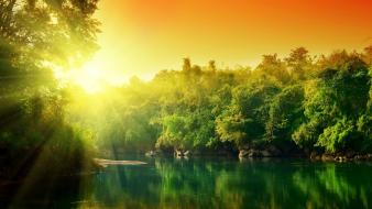 Forest river sunset wallpaper