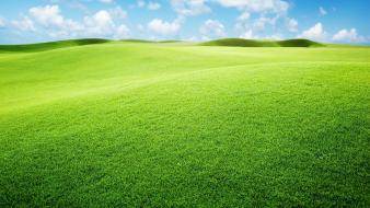 Green landscape wallpaper
