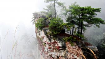 National park unesco world heritage site fog wallpaper