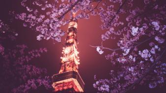 Sakura blossom japan wallpaper