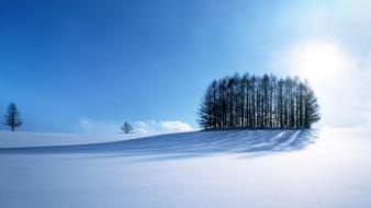 Winter hd s wallpaper