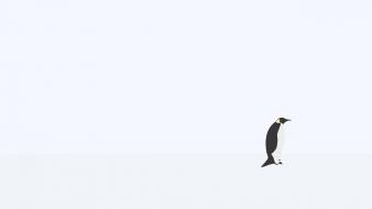 Abstract penguins simple white background wallpaper