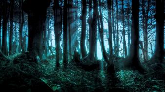 Halloween pacific forests scary wallpaper