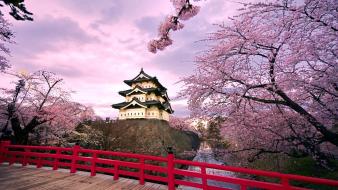 Japan blossoms cherry japanese bridge temples wallpaper