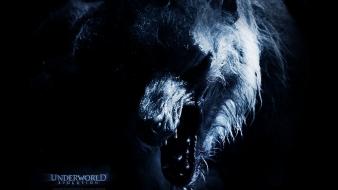 Underworld wear wolf movies scary wallpaper