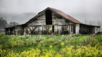 Abandoned farms house huts landscapes wallpaper