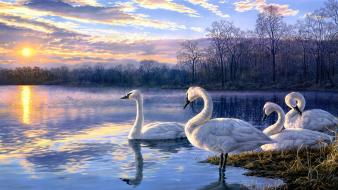 Artwork paintings sunset swans wallpaper