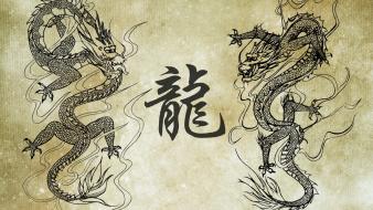 Asian art dragons wallpaper