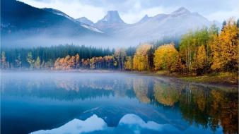 Autumn fog forests landscapes mist wallpaper